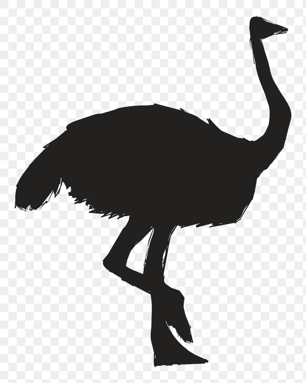 Png ostrich silhouette, transparent background