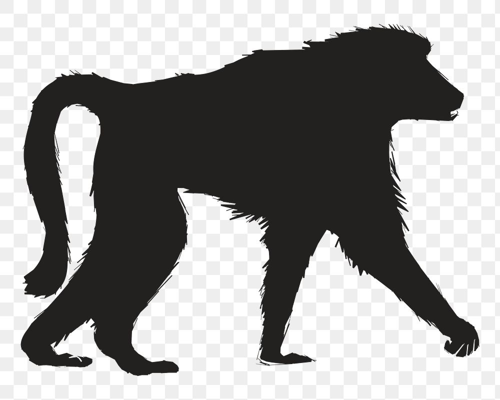 Png baboon silhouette, transparent background