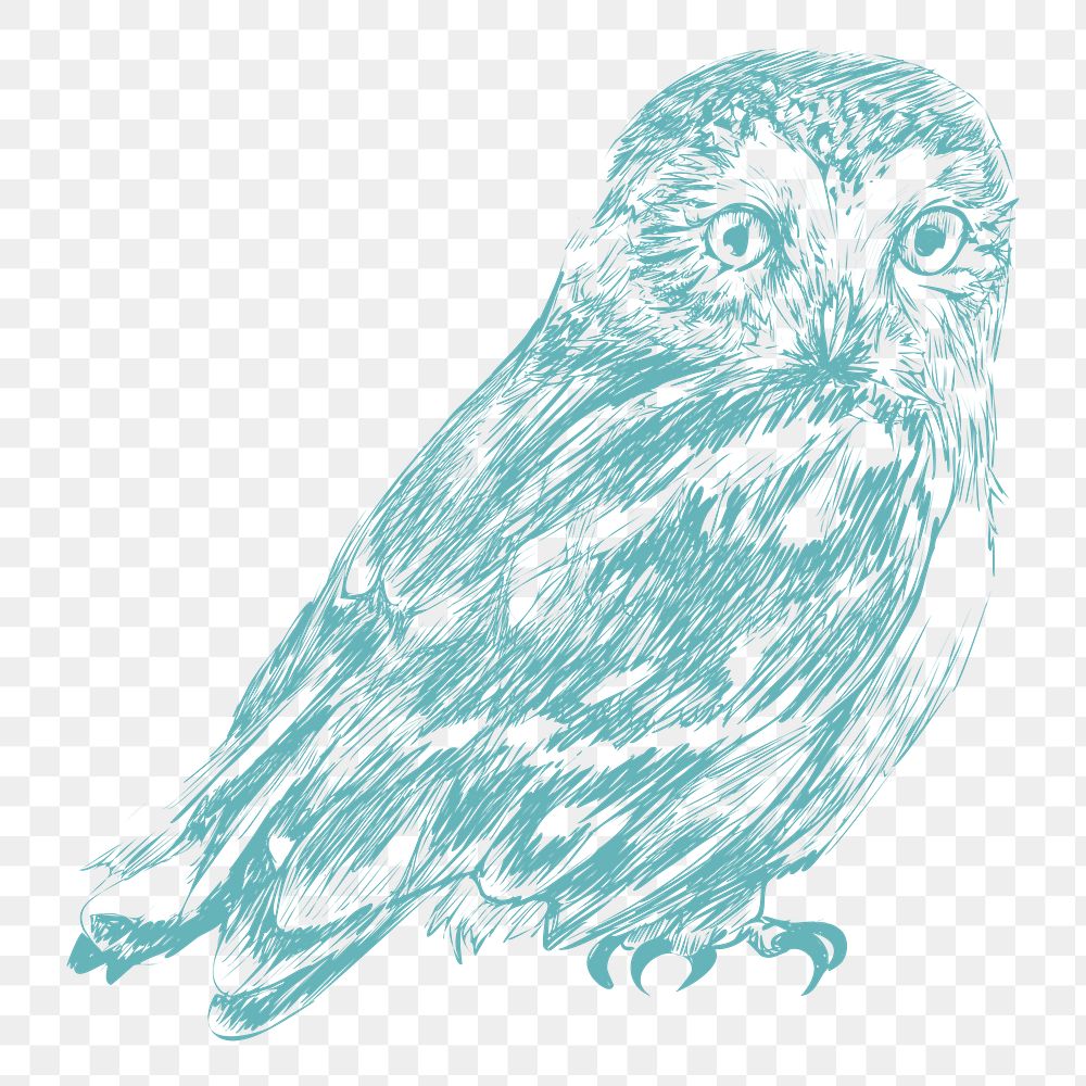  Png blue owl design element, transparent background
