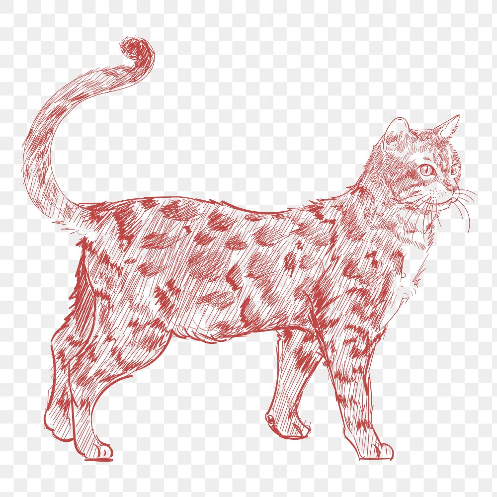  Png red walking cat sketch illustration, transparent background