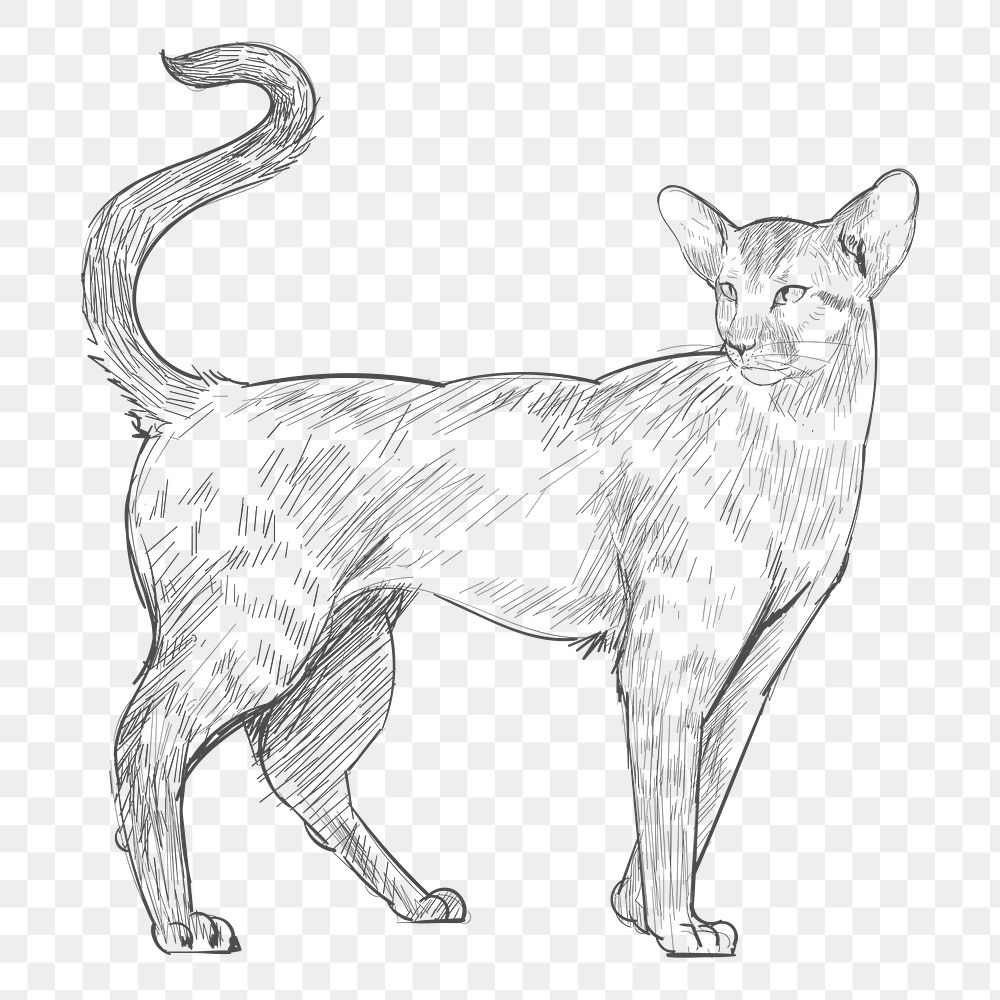  Png walking cat sketch illustration, transparent background