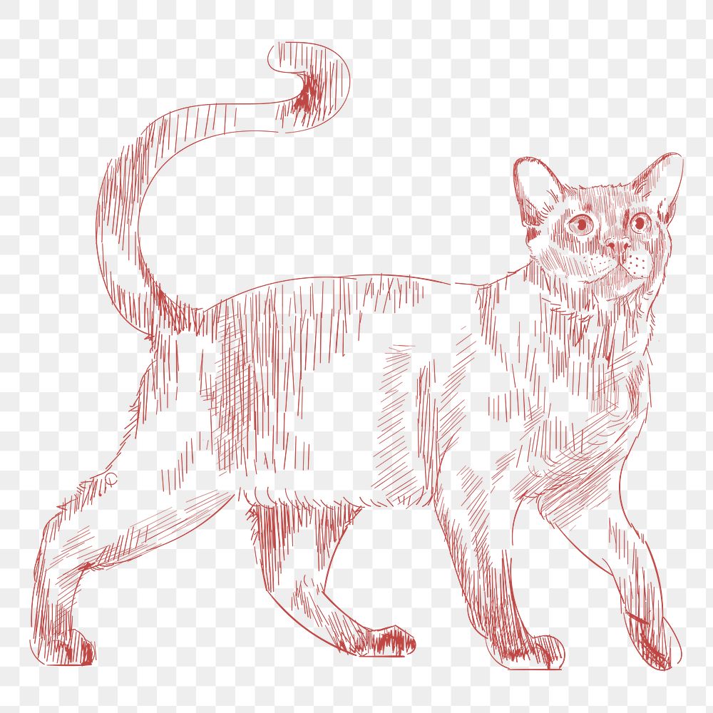  Png walking cat sketch illustration, transparent background