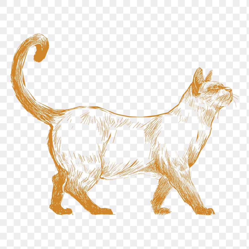  Png elegant cat sketch illustration, transparent background