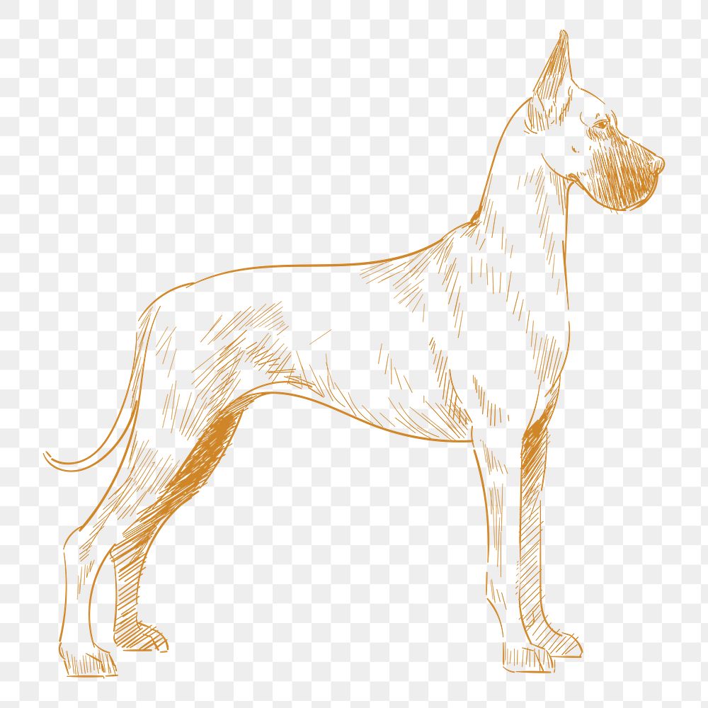  Png great dane dog sketch illustration, transparent background