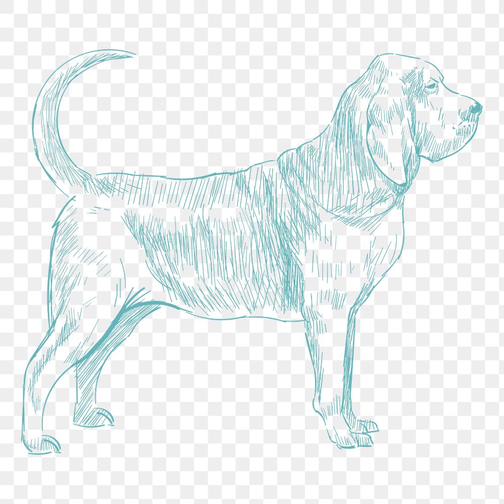  Png bloodhound dog sketch illustration, transparent background