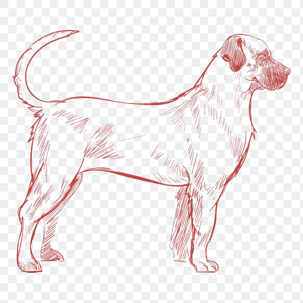  Png american mastiff dog sketch illustration, transparent background