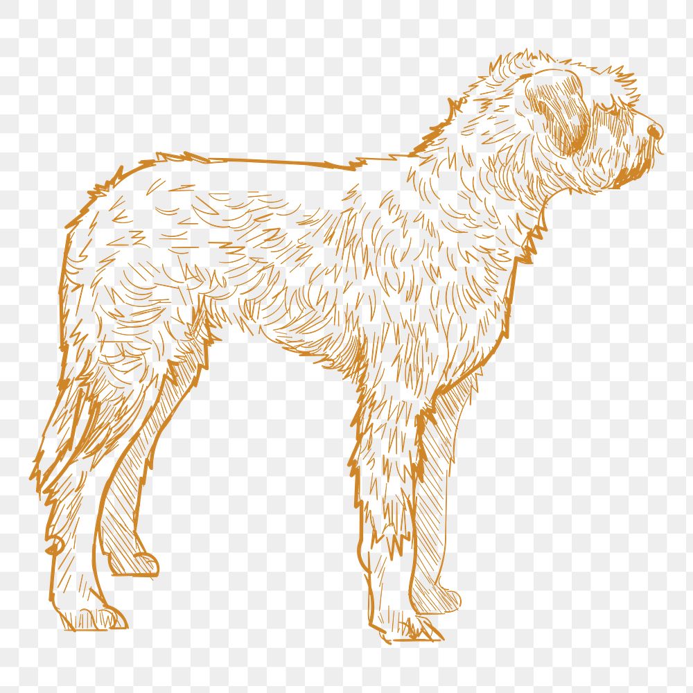  Png irish mastiff dog sketch illustration, transparent background