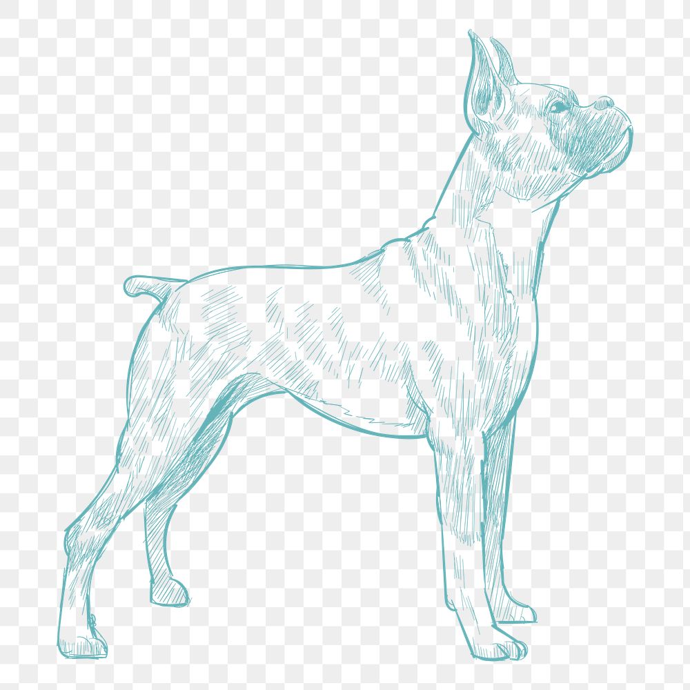  Png dog sketch illustration, transparent background