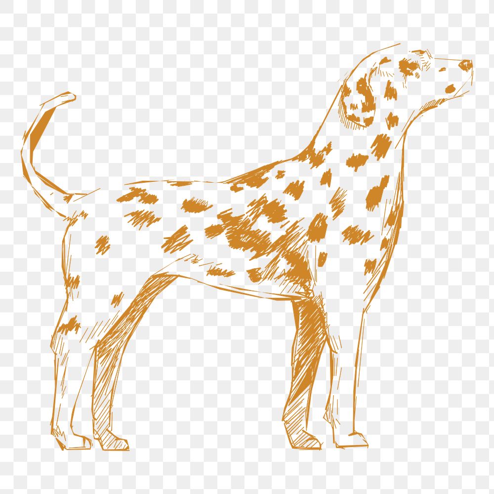  Png dalmatian dog sketch illustration, transparent background