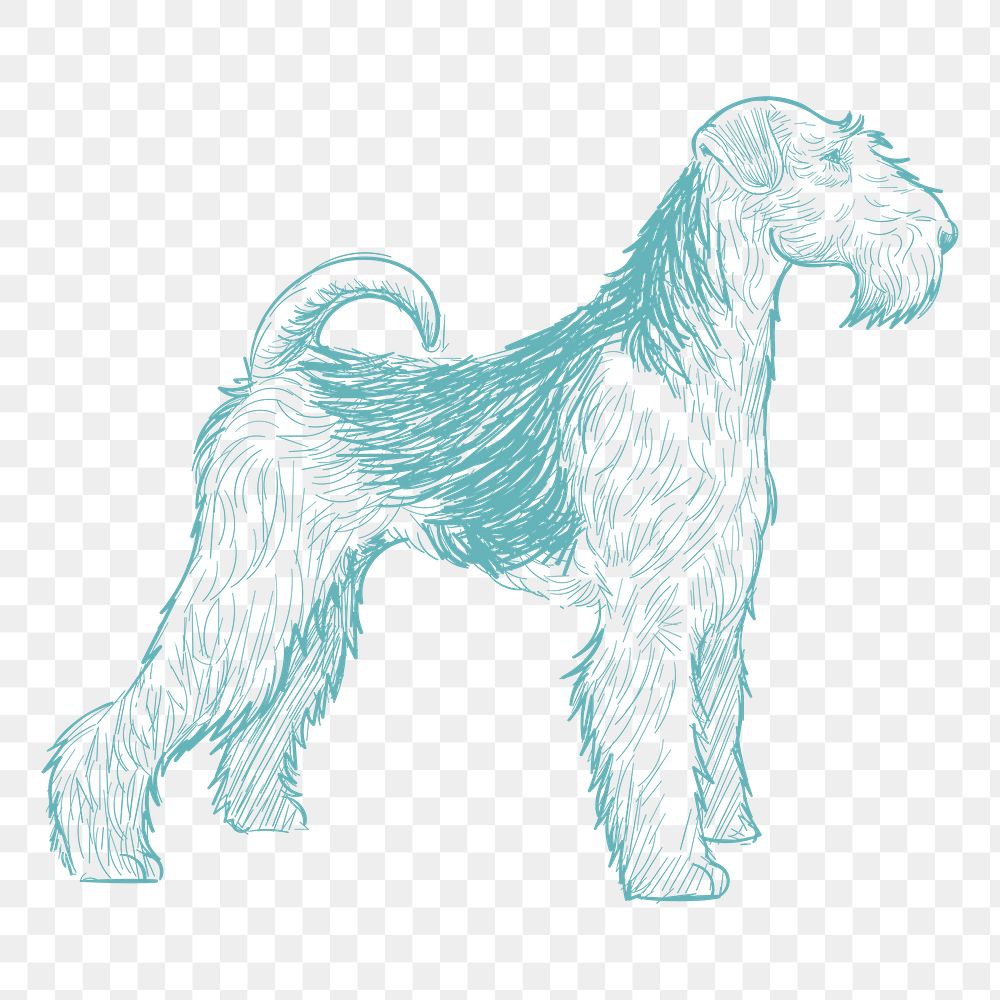 Png airedale terrier sketch illustration, transparent background