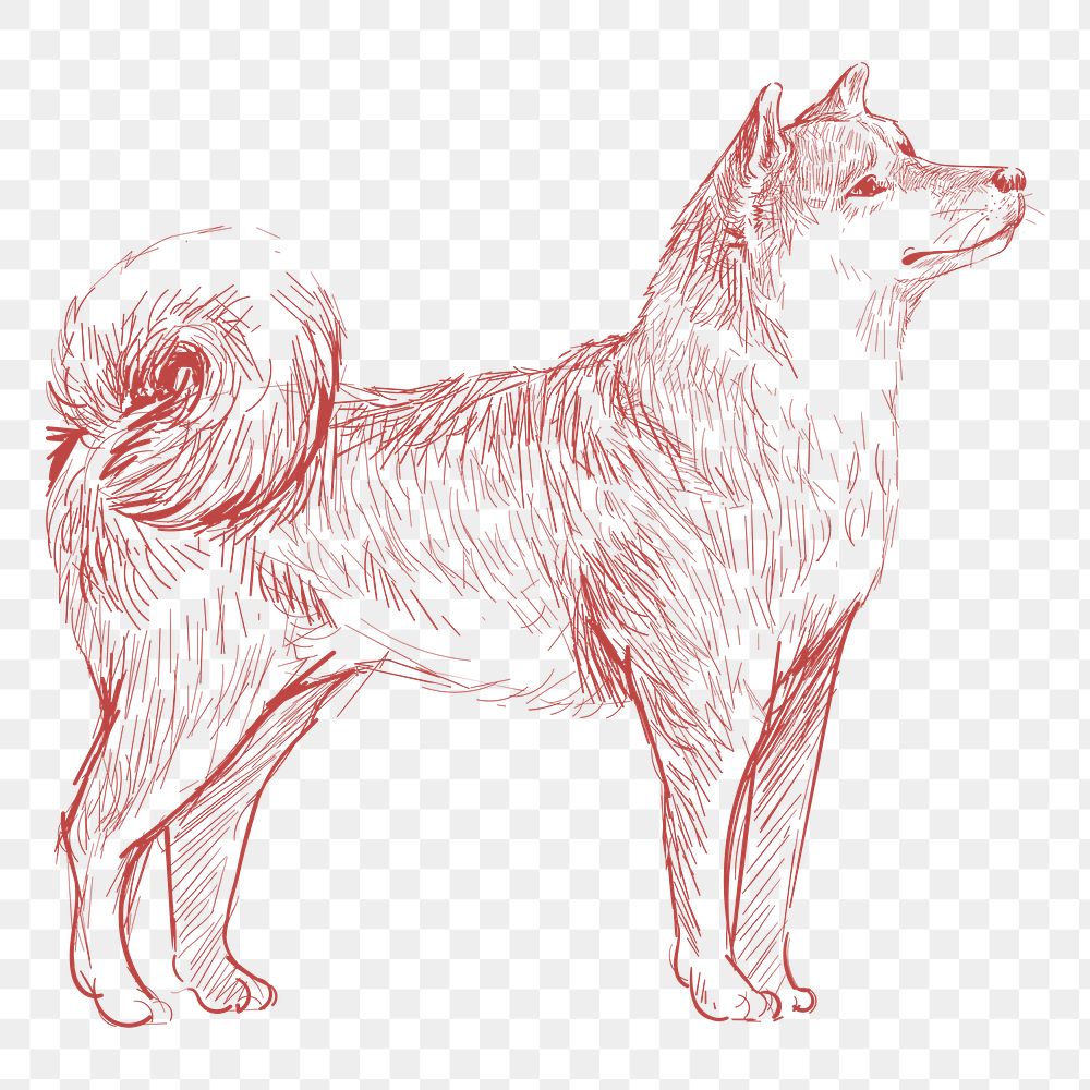  Png shiba dog sketch illustration, transparent background