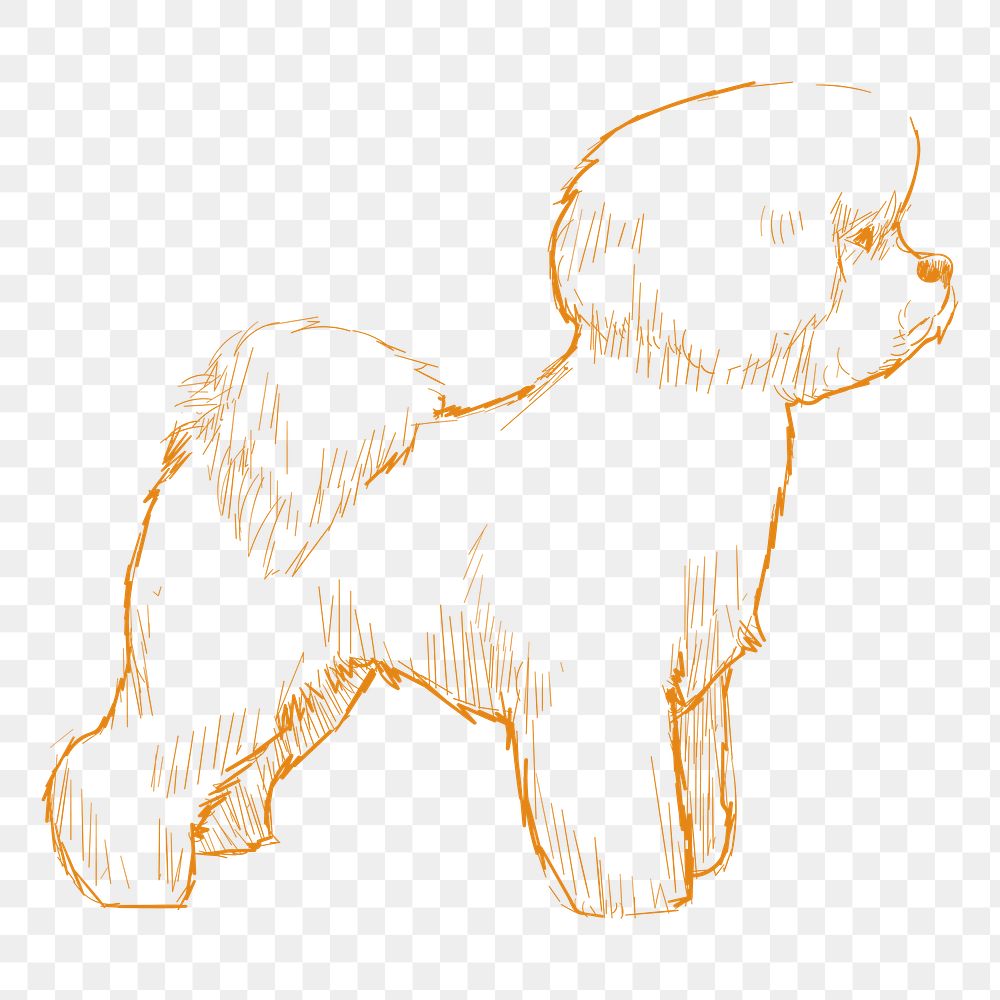 Png bichon frise dog sketch illustration, transparent background