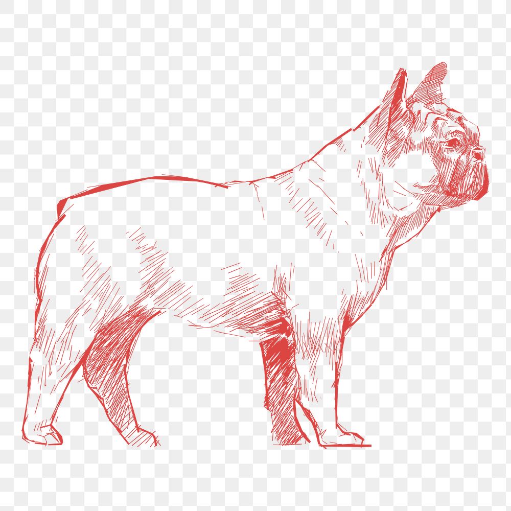 Png dog sketch illustration, transparent background