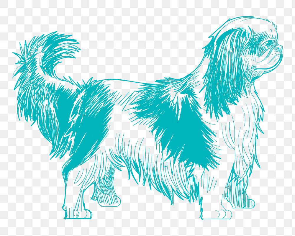 Png king charles spaniel dog sketch illustration, transparent background