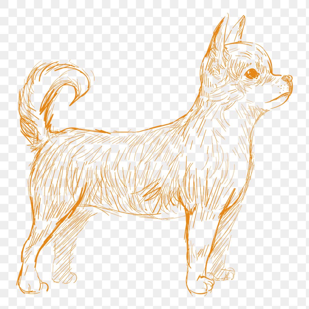 Png chihuahua dog sketch illustration, transparent background