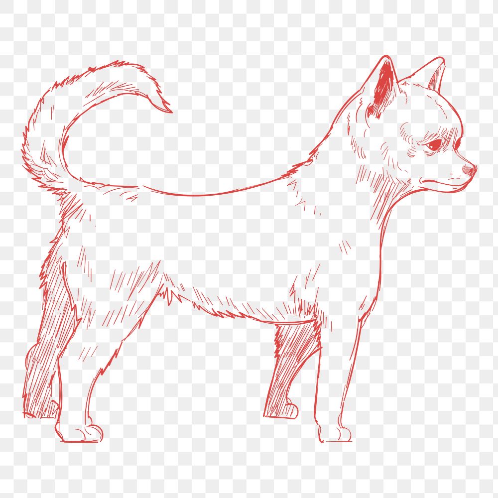 Png chihuahua dog sketch illustration, transparent background