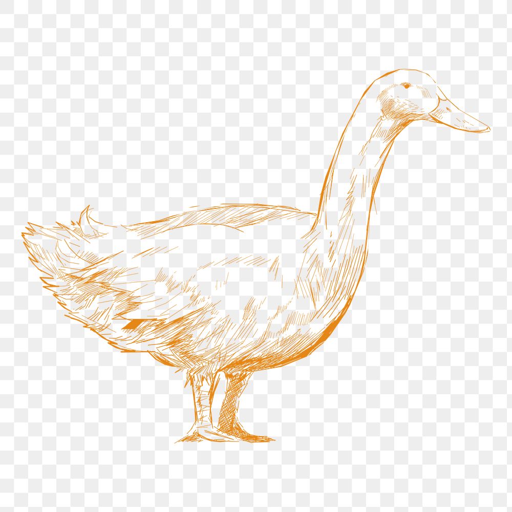 Png yellow duck sketch illustration, transparent background
