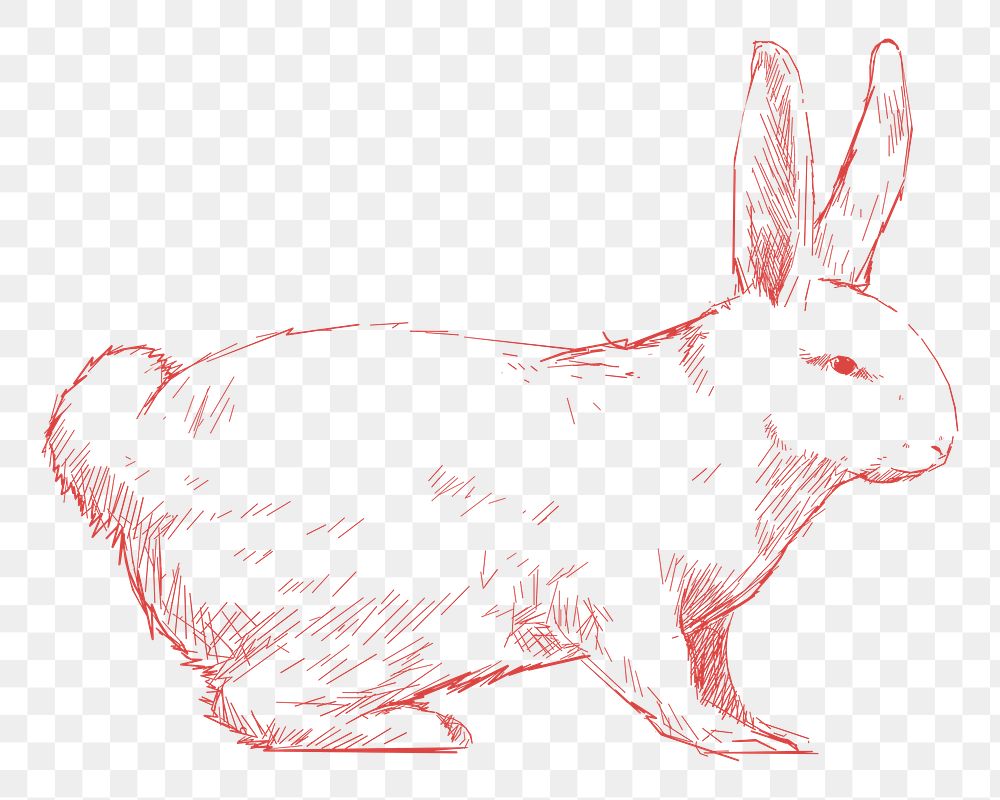 Png red rabbit sketch illustration, transparent background