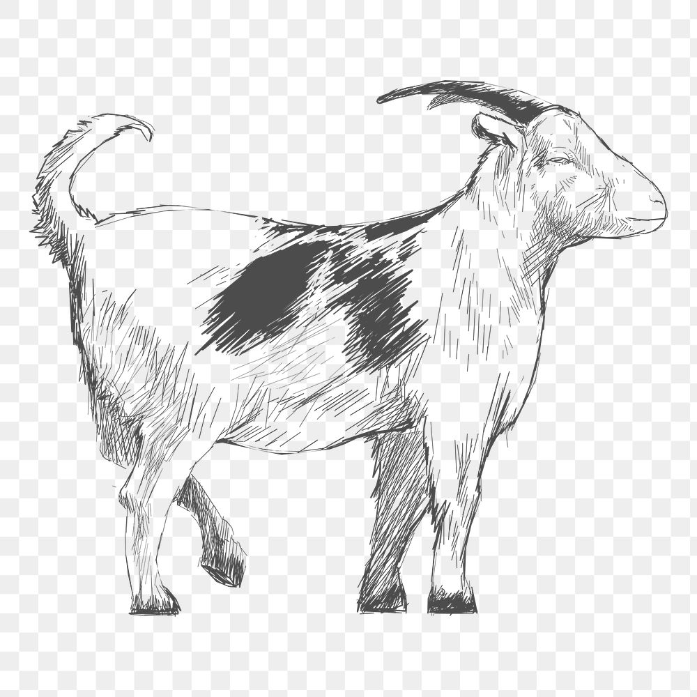 Png bw goat sketch illustration, transparent background