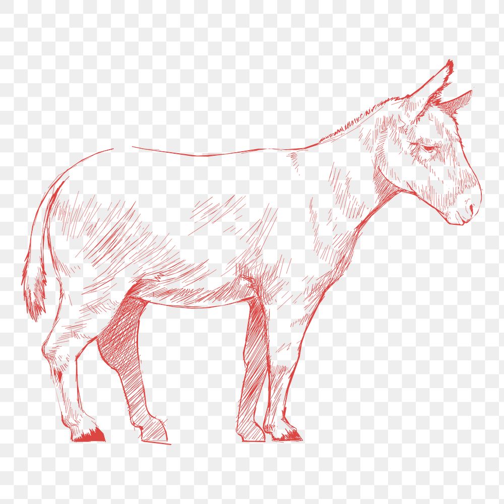 Png red donkey sketch illustration, transparent background