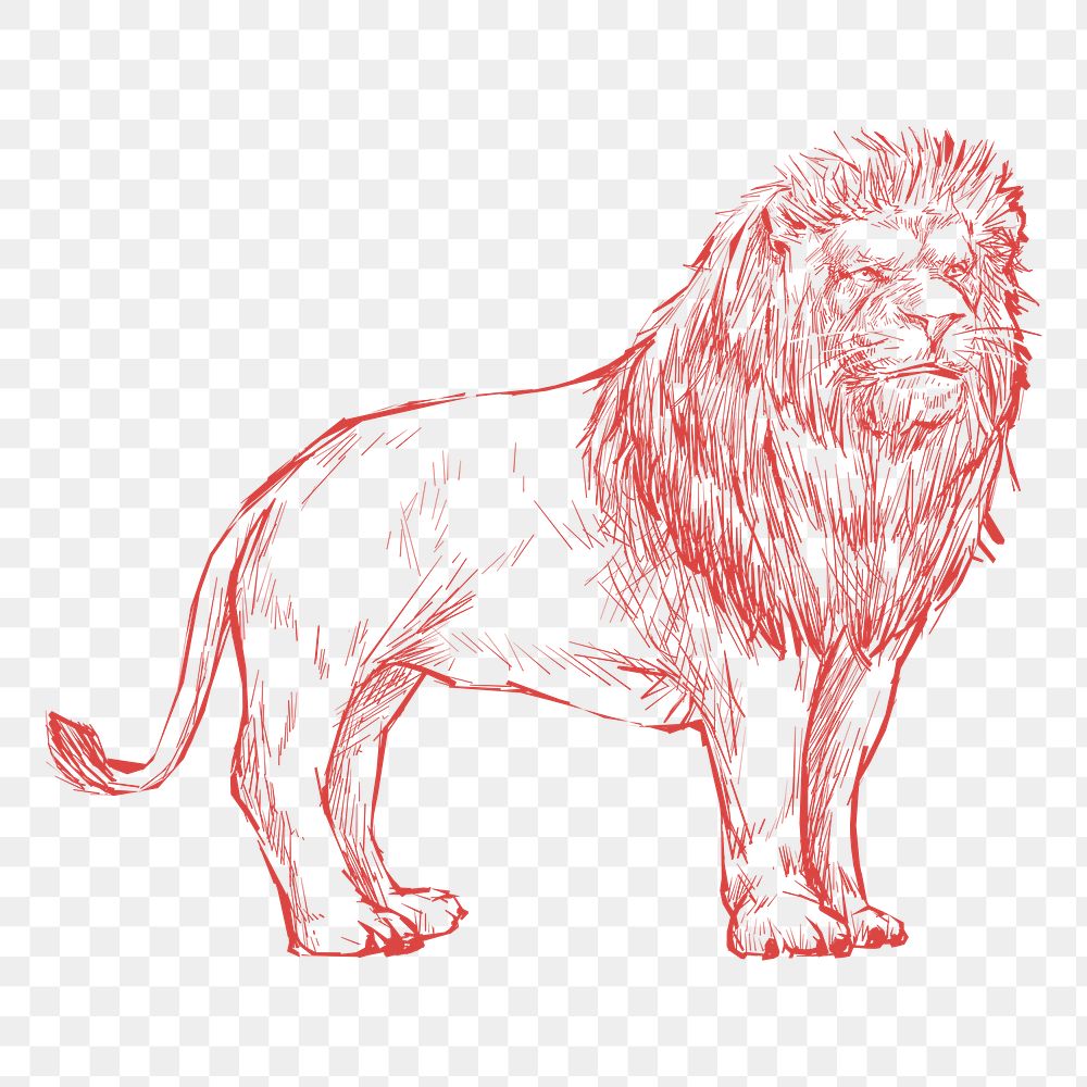 Png red lion sketch illustration, transparent background