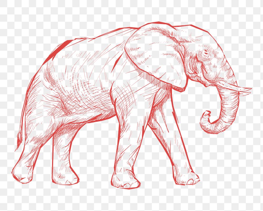 Png red elephant sketch illustration, transparent background