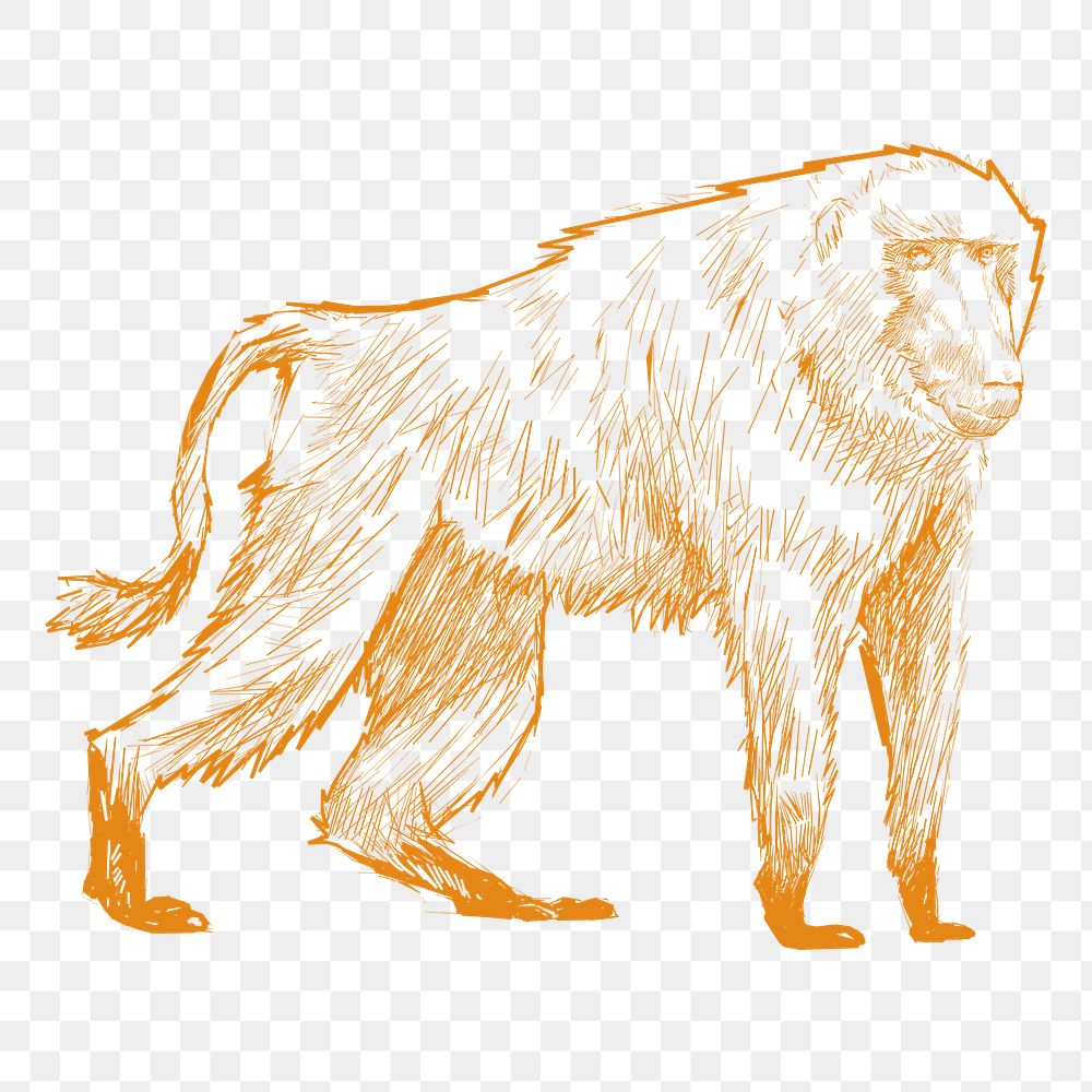 Png yellow monkey sketch illustration, transparent background