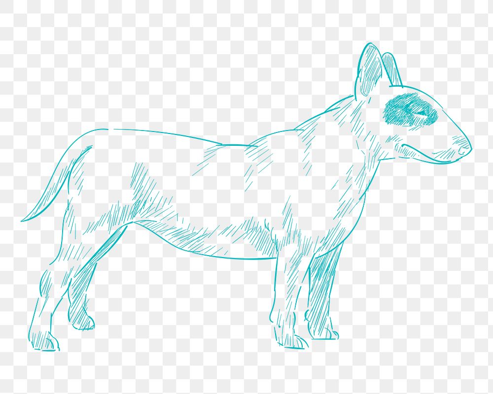 Png blue bull terrier sketch illustration, transparent background