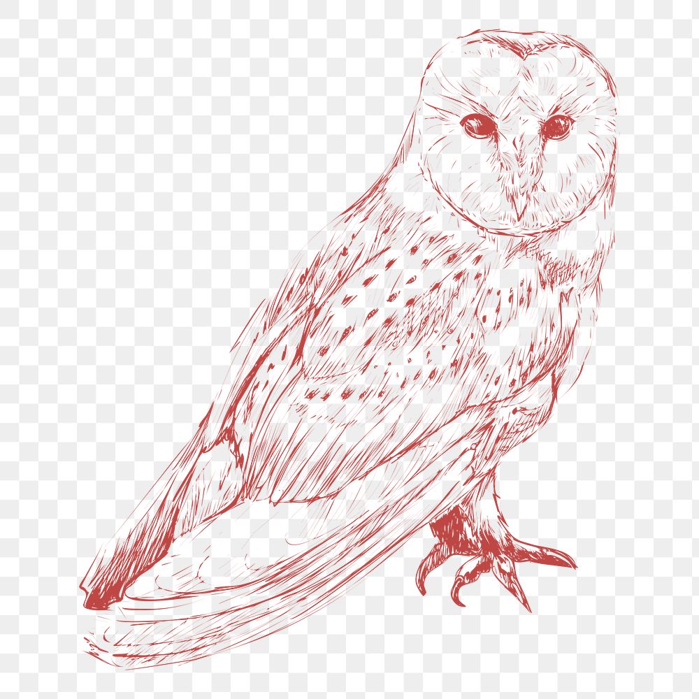 Png red owl design element, transparent background