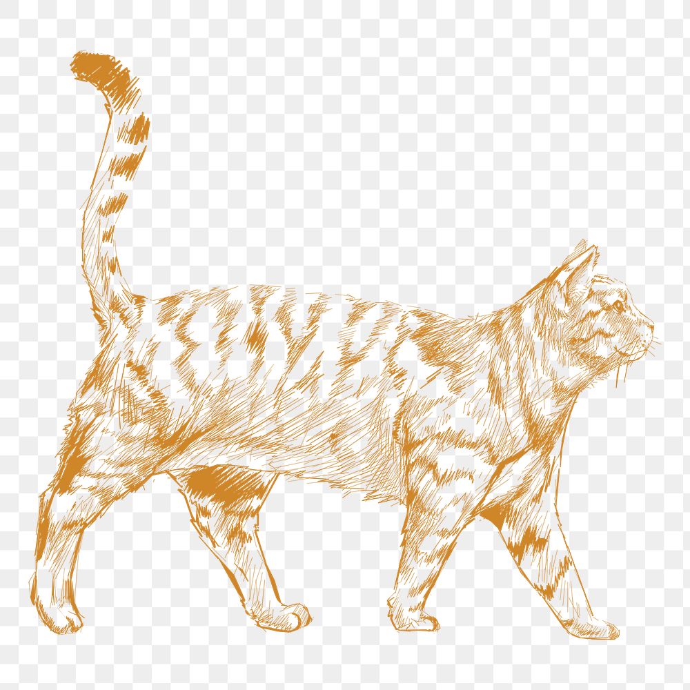  Png yellow walking cat sketch illustration, transparent background