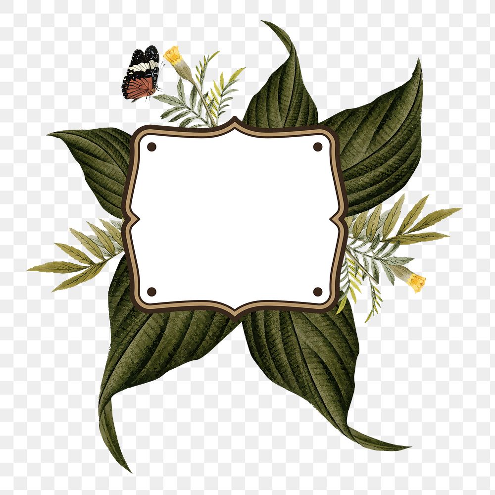 Leaf png badge, transparent background