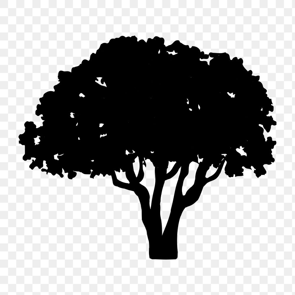 Png  olive tree silhouette, transparent background