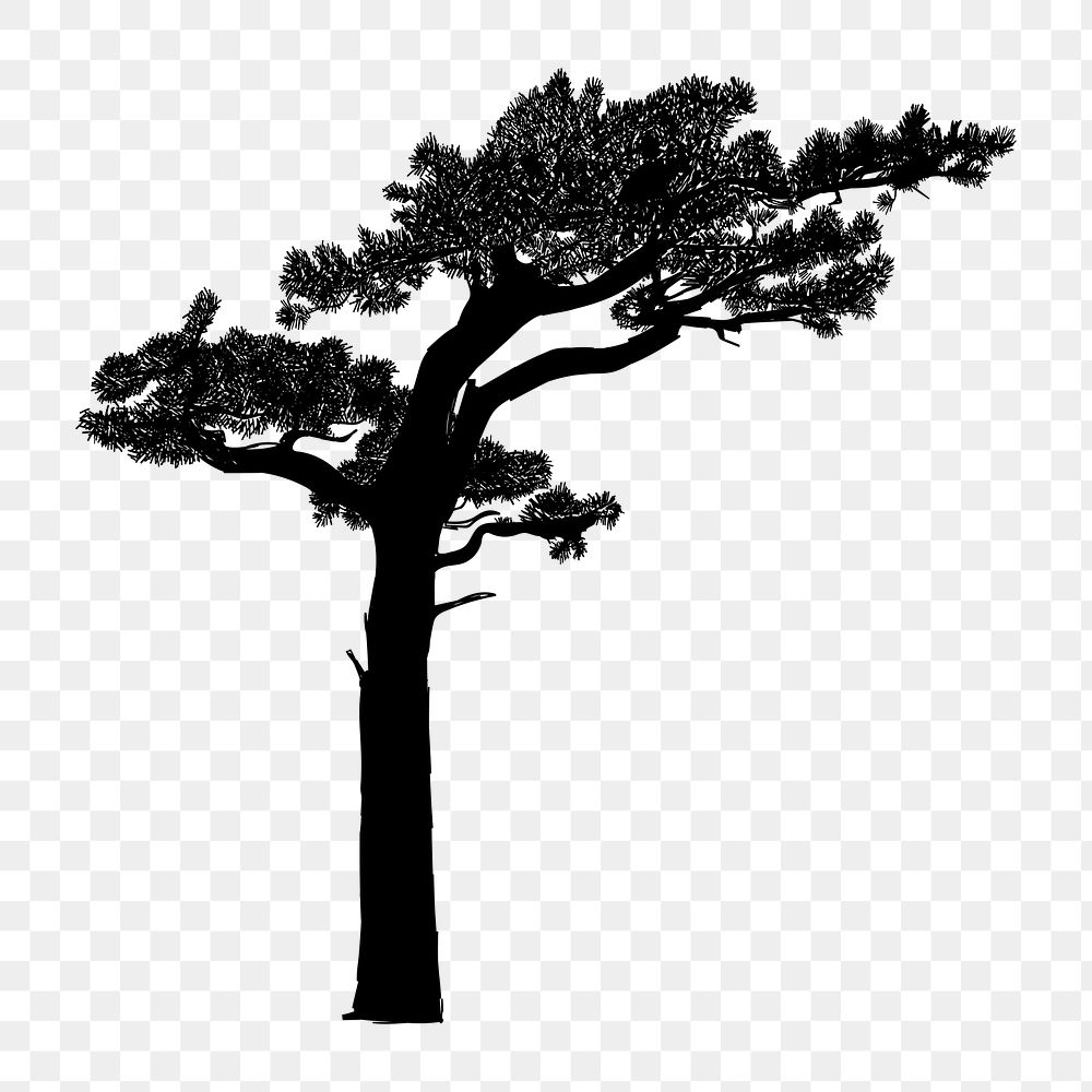 Png  realistic tree silhouette, transparent background