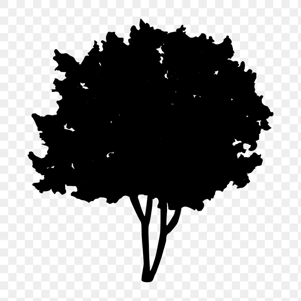 Png  realistic tree silhouette, transparent background