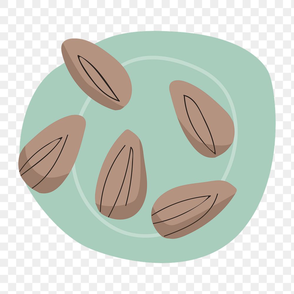 Png fresh almonds doodle sticker, transparent background