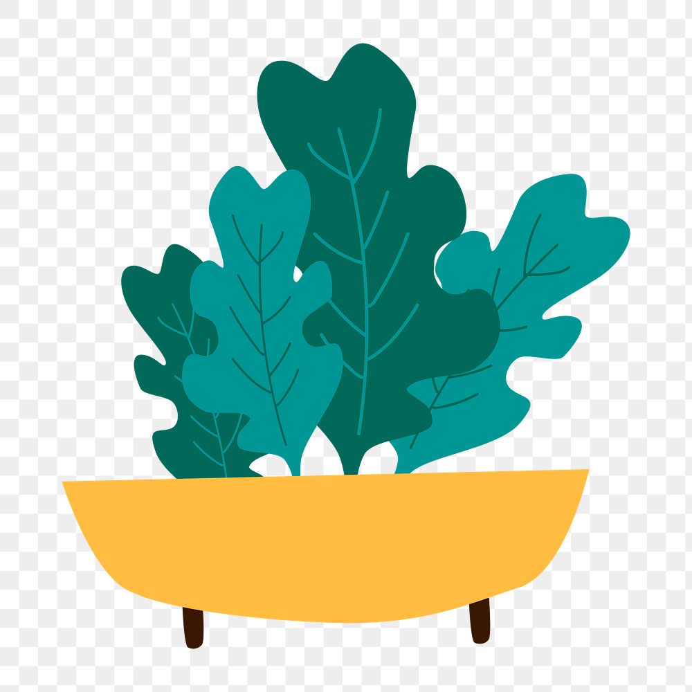 Png potted organic greens  sticker, transparent background