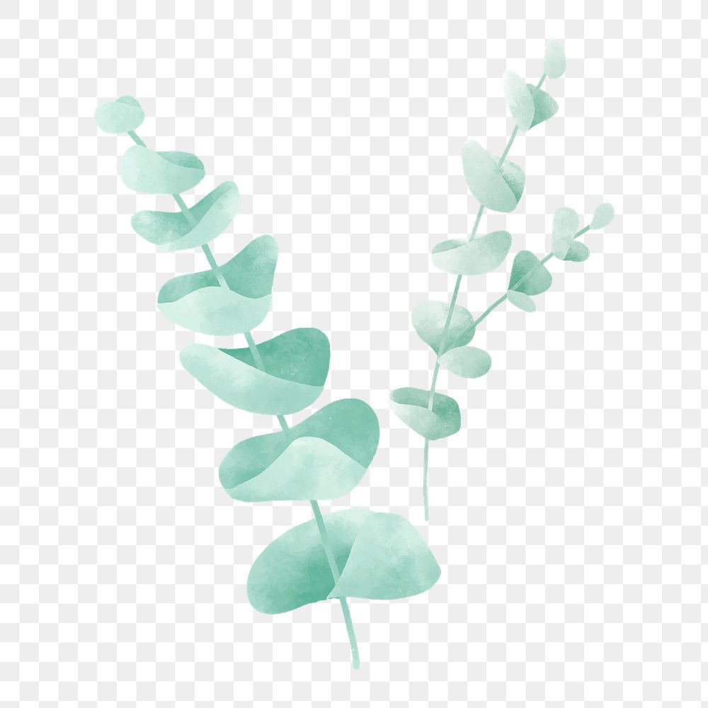 Watercolor leaf png element, transparent background