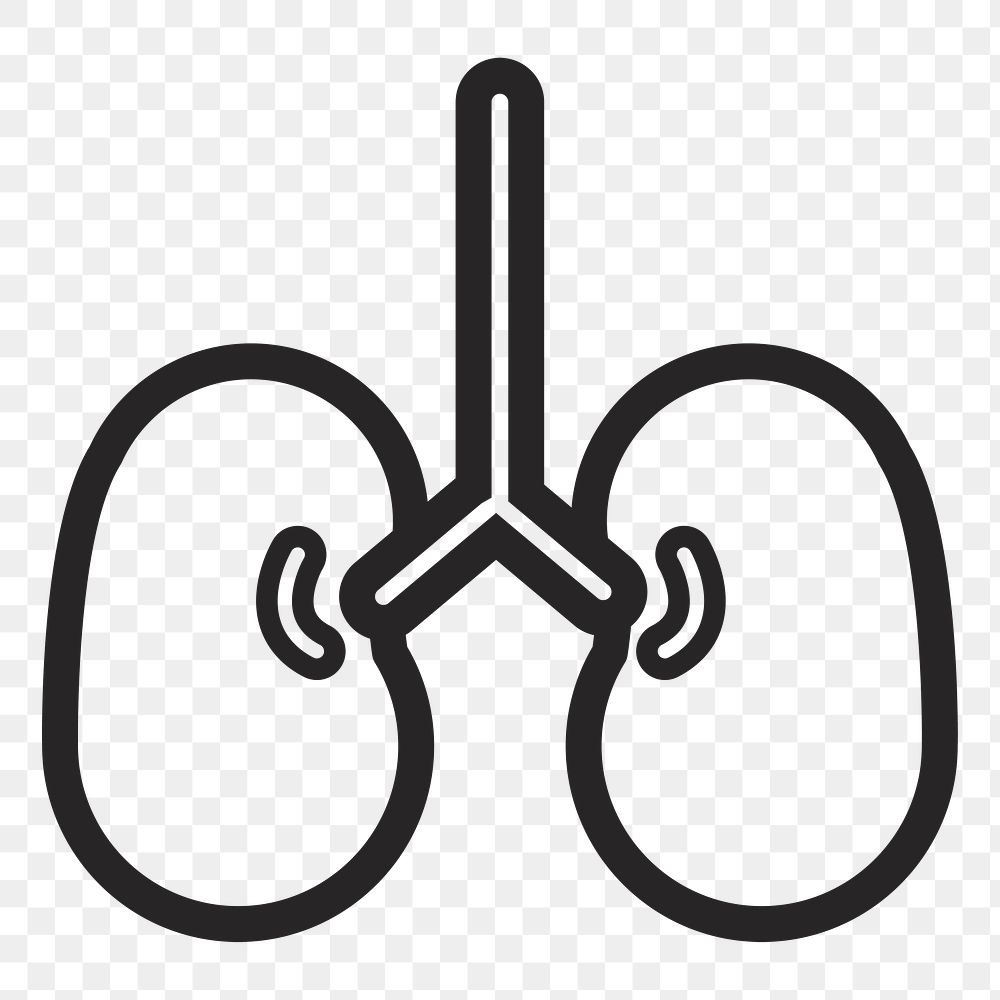 Lung   png icon, transparent background