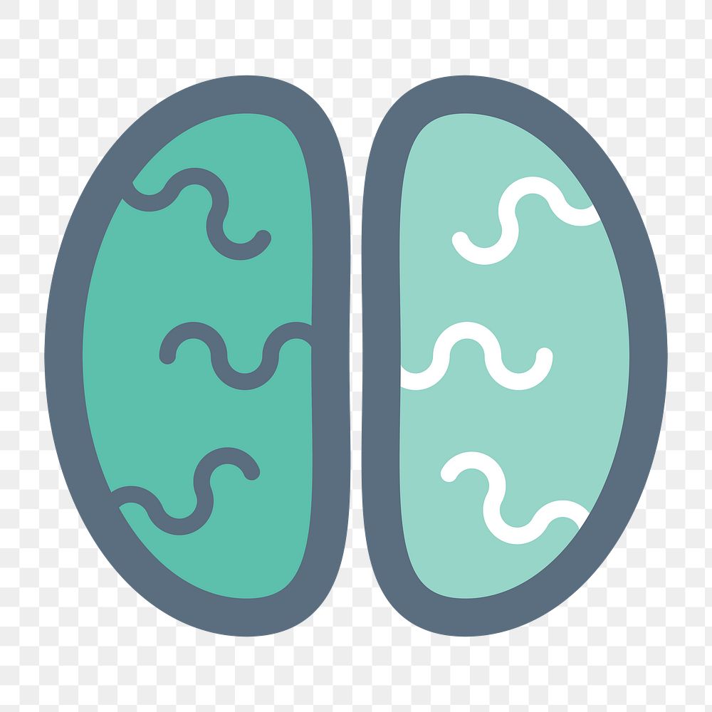 Human brain icon png, transparent background