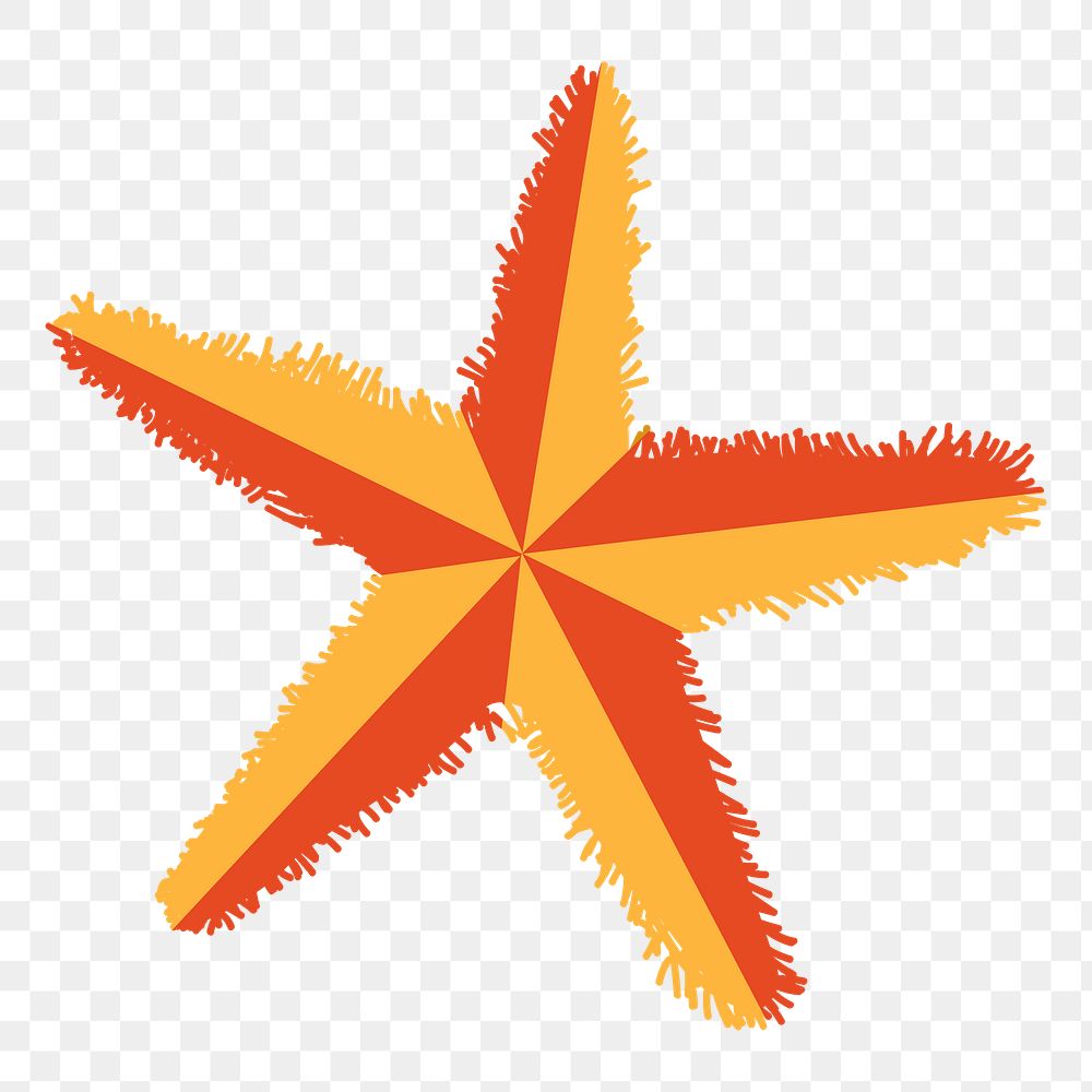 Png orange starfish, transparent background