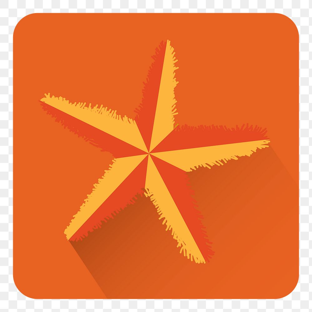 Png orange starfish icon, transparent background