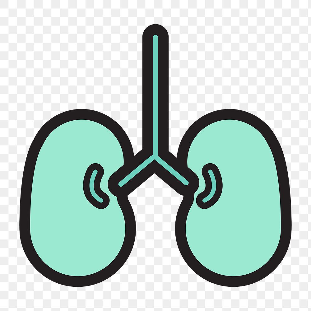 Human lungs icon png, transparent background 
