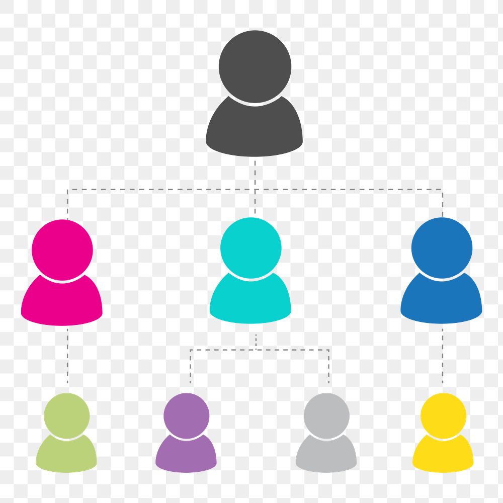 PNG  business team structure transparent background