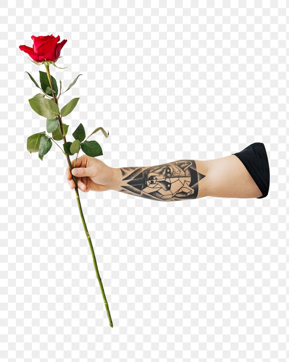 Tattooed hand png holding rose, transparent background