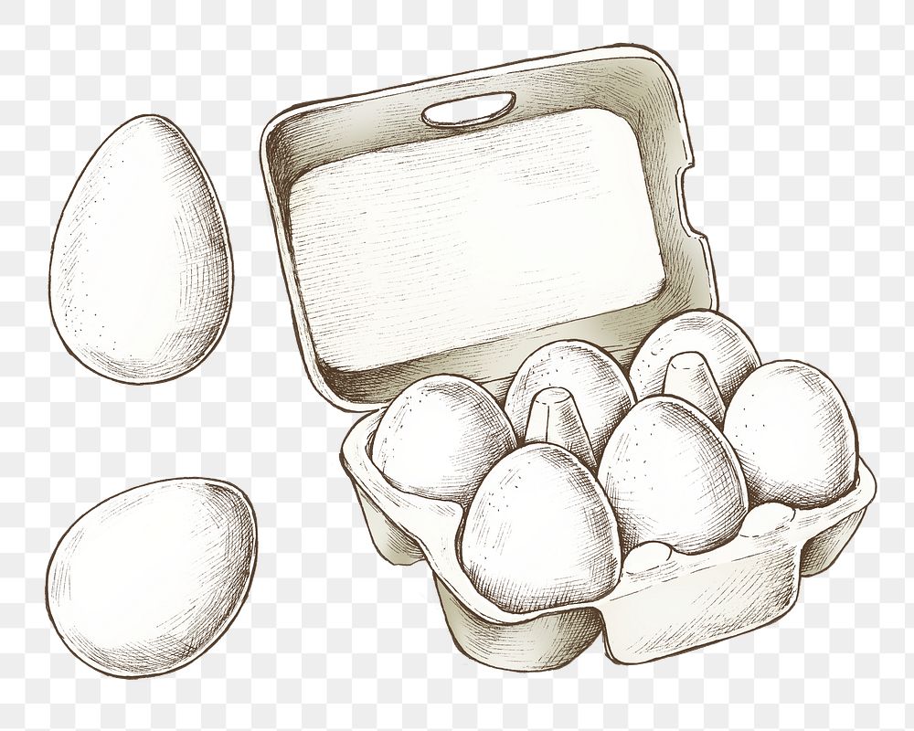 Eggs png illustration, transparent background