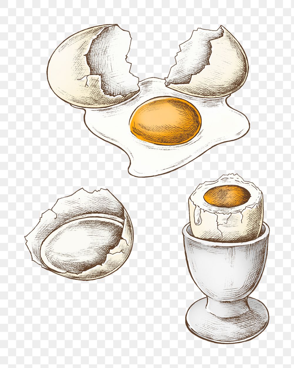 Boiled egg png illustration, transparent background