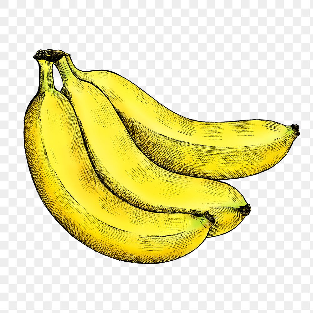 Banana png illustration, transparent background