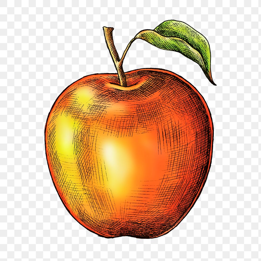 Red apple png illustration, transparent background