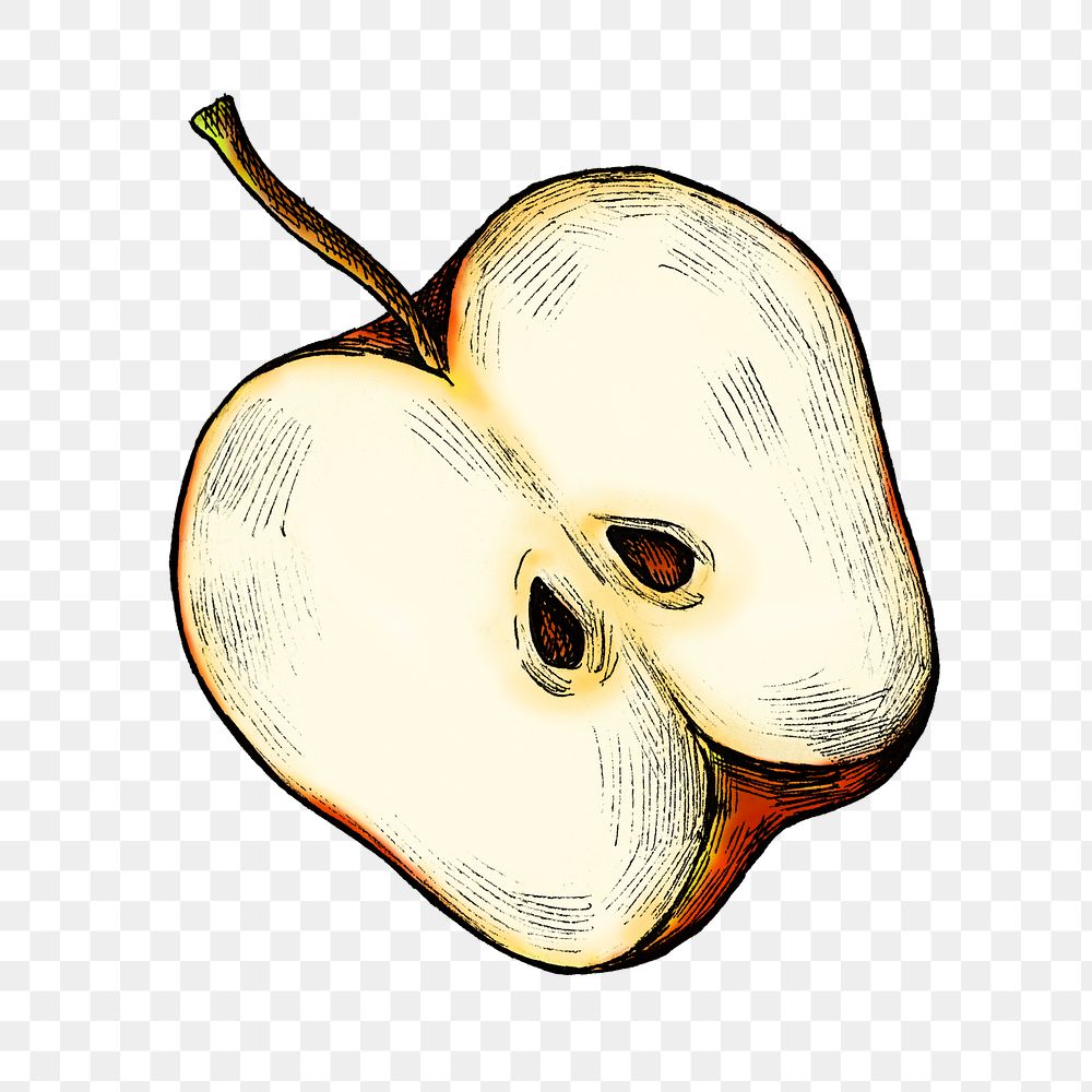 Red apple png illustration, transparent background