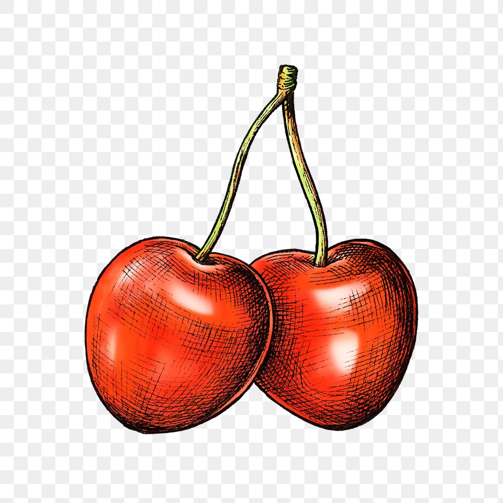 Cherry png illustration, transparent background